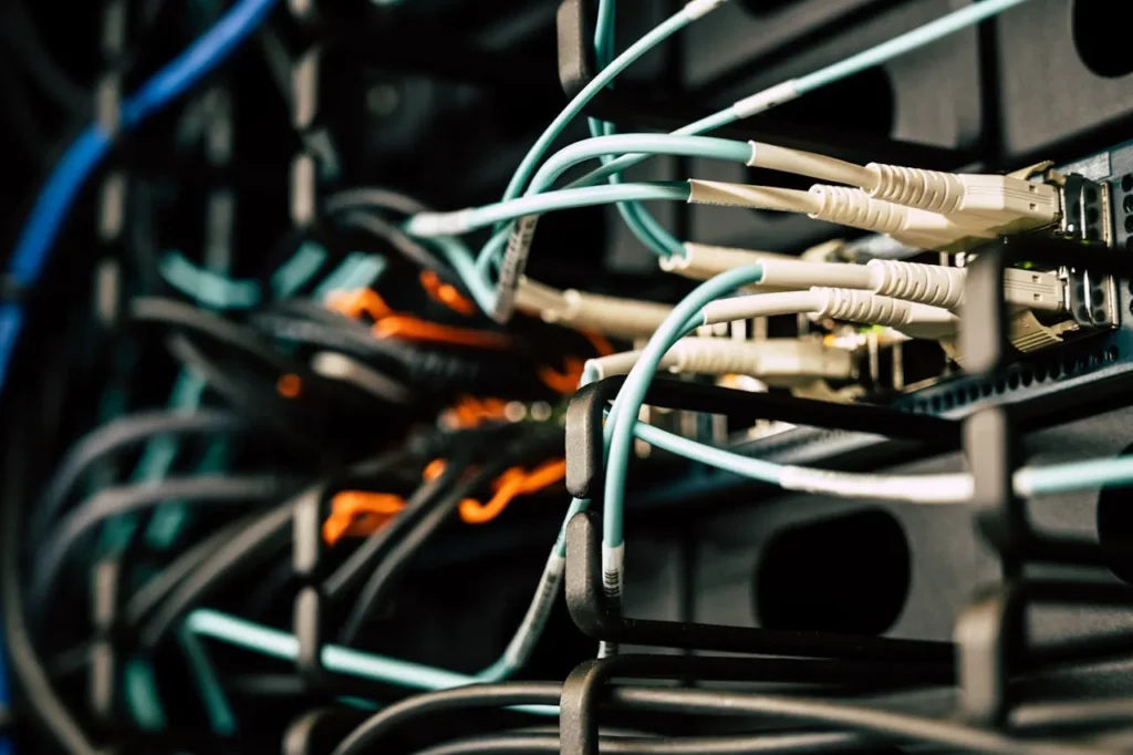 Key Features of Our Fiber